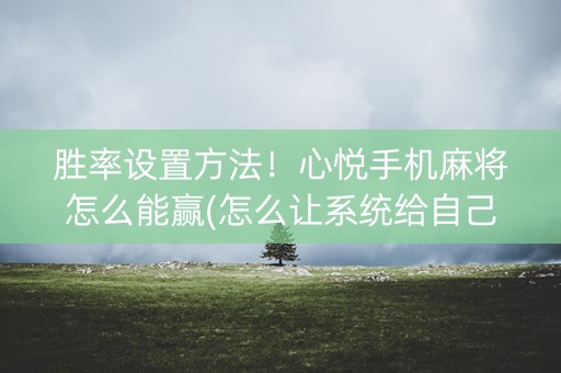 胜率设置方法！心悦手机麻将怎么能赢(怎么让系统给自己好牌)