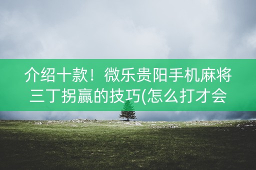 介绍十款！微乐贵阳手机麻将三丁拐赢的技巧(怎么打才会赢)