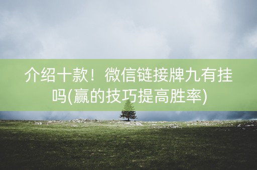 介绍十款！微信链接牌九有挂吗(赢的技巧提高胜率)