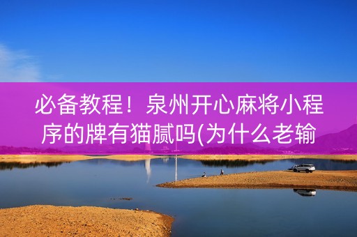 必备教程！泉州开心麻将小程序的牌有猫腻吗(为什么老输)