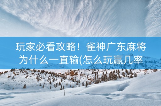 玩家必看攻略！雀神广东麻将为什么一直输(怎么玩赢几率大)