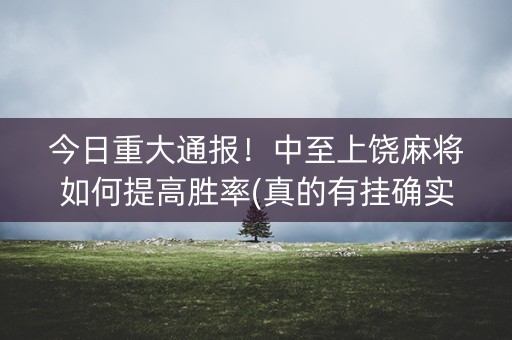 今日重大通报！中至上饶麻将如何提高胜率(真的有挂确实有挂)