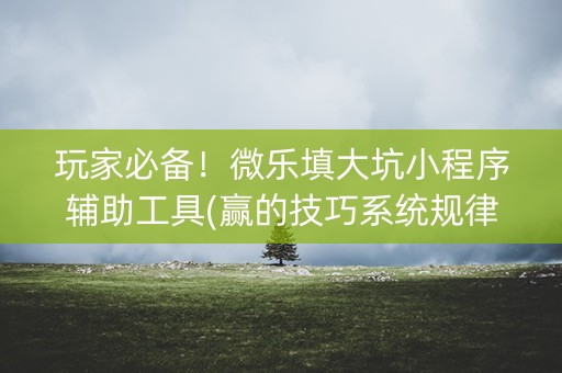 玩家必备！微乐填大坑小程序辅助工具(赢的技巧系统规律)
