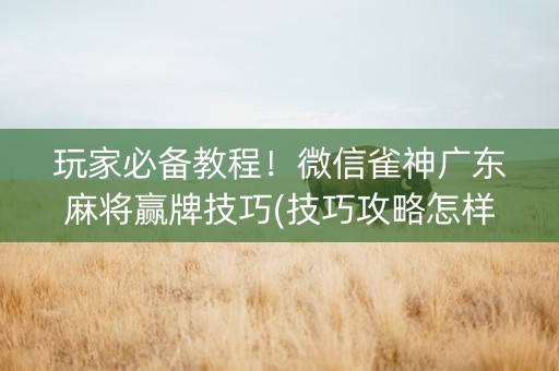 玩家必备教程！微信雀神广东麻将赢牌技巧(技巧攻略怎样拿好牌)