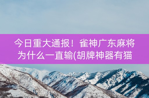今日重大通报！雀神广东麻将为什么一直输(胡牌神器有猫腻吗)