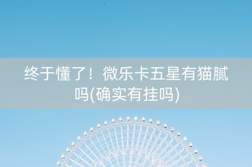 终于懂了！微乐卡五星有猫腻吗(确实有挂吗)