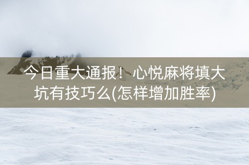 今日重大通报！心悦麻将填大坑有技巧么(怎样增加胜率)