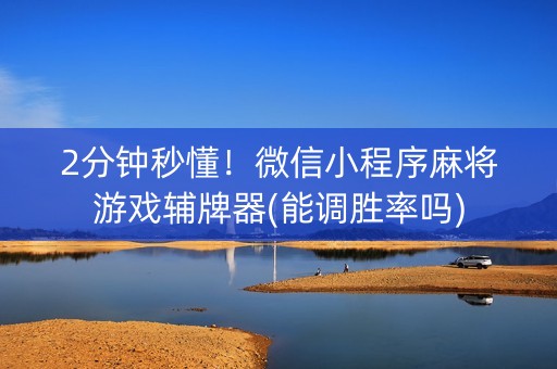 2分钟秒懂！微信小程序麻将游戏辅牌器(能调胜率吗)