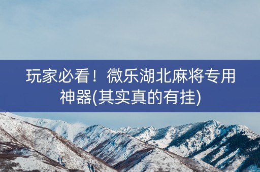 玩家必看！微乐湖北麻将专用神器(其实真的有挂)