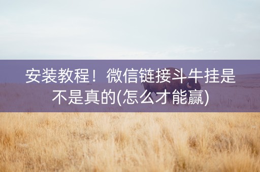 安装教程！微信链接斗牛挂是不是真的(怎么才能赢)