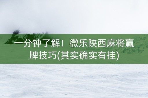 一分钟了解！微乐陕西麻将赢牌技巧(其实确实有挂)