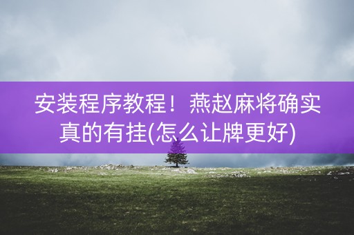 安装程序教程！燕赵麻将确实真的有挂(怎么让牌更好)