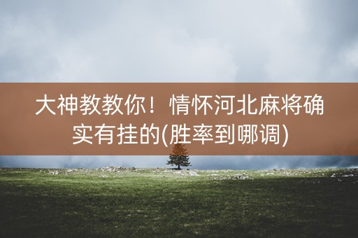 大神教教你！情怀河北麻将确实有挂的(胜率到哪调)
