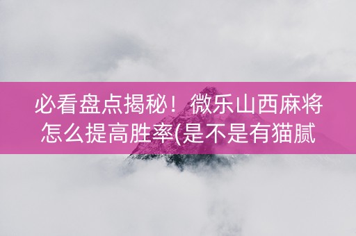 必看盘点揭秘！微乐山西麻将怎么提高胜率(是不是有猫腻)