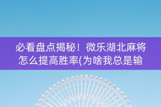 必看盘点揭秘！微乐湖北麻将怎么提高胜率(为啥我总是输)