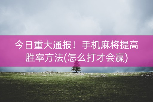 今日重大通报！手机麻将提高胜率方法(怎么打才会赢)