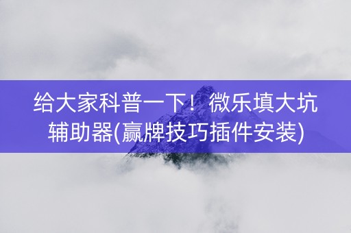 给大家科普一下！微乐填大坑辅助器(赢牌技巧插件安装)