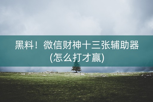 黑料！微信财神十三张辅助器(怎么打才赢)