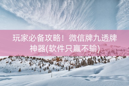 玩家必备攻略！微信牌九透牌神器(软件只赢不输)