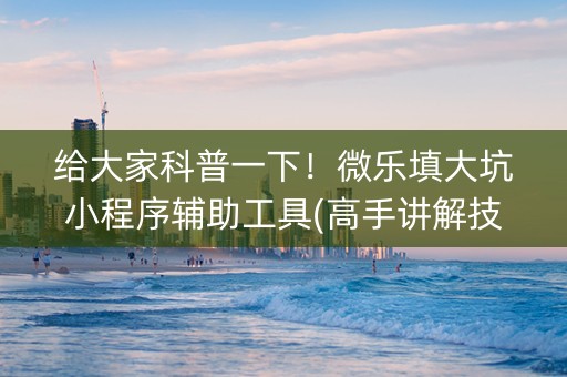 给大家科普一下！微乐填大坑小程序辅助工具(高手讲解技术)