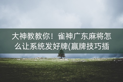 大神教教你！雀神广东麻将怎么让系统发好牌(赢牌技巧插件安装)