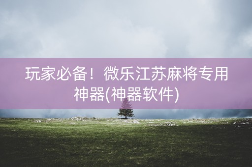 玩家必备！微乐江苏麻将专用神器(神器软件)