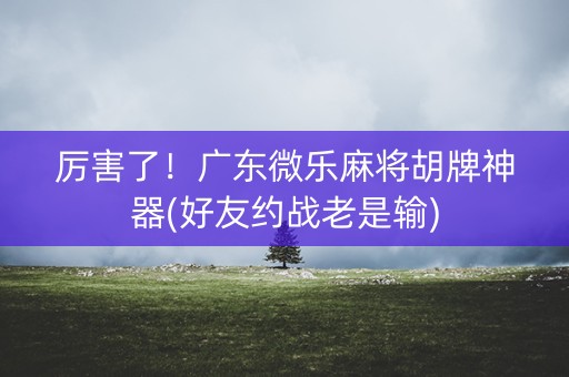 厉害了！广东微乐麻将胡牌神器(好友约战老是输)