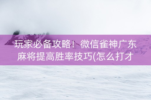 玩家必备攻略！微信雀神广东麻将提高胜率技巧(怎么打才会赢)