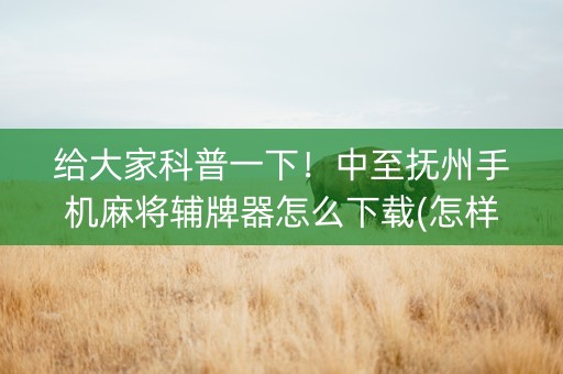 给大家科普一下！中至抚州手机麻将辅牌器怎么下载(怎样才能赢)
