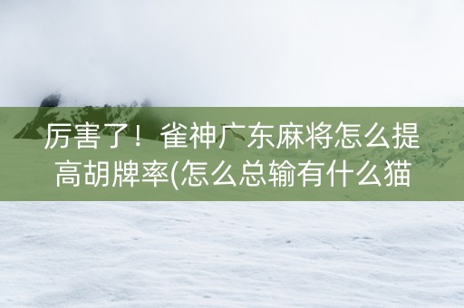 厉害了！雀神广东麻将怎么提高胡牌率(怎么总输有什么猫腻)