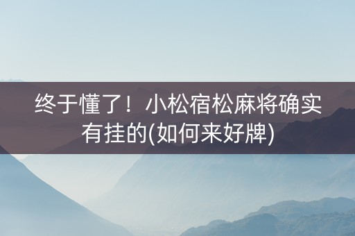 终于懂了！小松宿松麻将确实有挂的(如何来好牌)