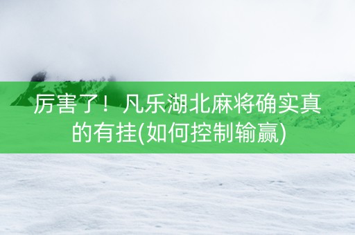 厉害了！凡乐湖北麻将确实真的有挂(如何控制输赢)