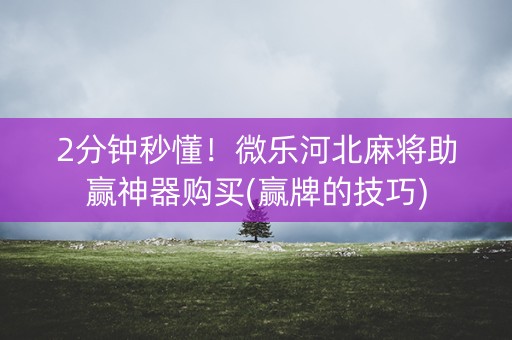 2分钟秒懂！微乐河北麻将助赢神器购买(赢牌的技巧)