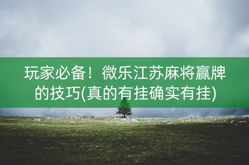 玩家必备！微乐江苏麻将赢牌的技巧(真的有挂确实有挂)