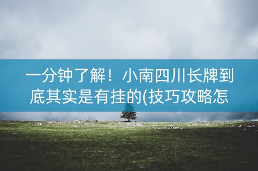 一分钟了解！小南四川长牌到底其实是有挂的(技巧攻略怎样拿好牌)