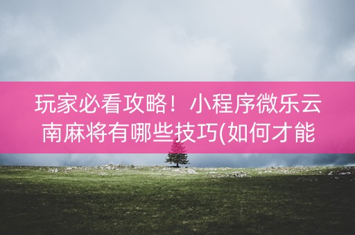 玩家必看攻略！小程序微乐云南麻将有哪些技巧(如何才能赢)