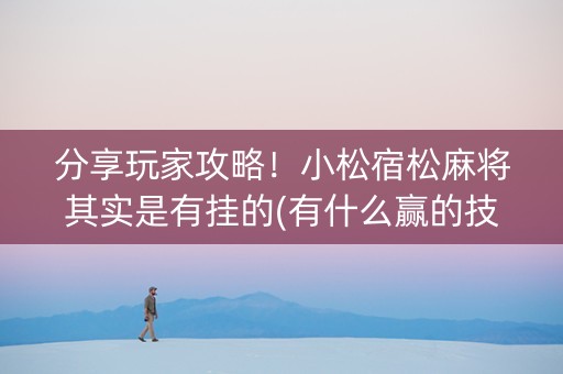 分享玩家攻略！小松宿松麻将其实是有挂的(有什么赢的技巧)