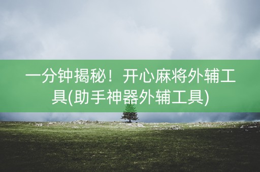 一分钟揭秘！开心麻将外辅工具(助手神器外辅工具)