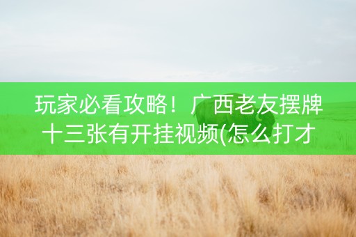 玩家必看攻略！广西老友摆牌十三张有开挂视频(怎么打才会赢)