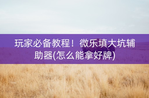 玩家必备教程！微乐填大坑辅助器(怎么能拿好牌)