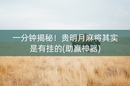 一分钟揭秘！贵明月麻将其实是有挂的(助赢神器)