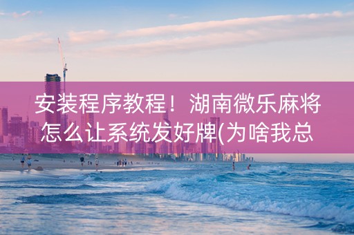 安装程序教程！湖南微乐麻将怎么让系统发好牌(为啥我总是输)