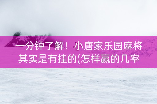一分钟了解！小唐家乐园麻将其实是有挂的(怎样赢的几率大)