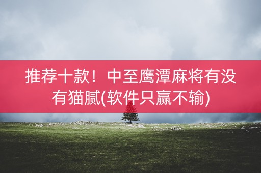 推荐十款！中至鹰潭麻将有没有猫腻(软件只赢不输)