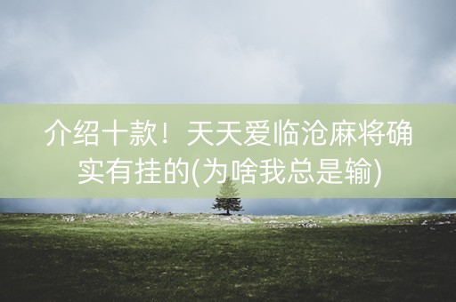 介绍十款！天天爱临沧麻将确实有挂的(为啥我总是输)