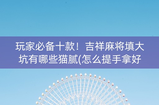 玩家必备十款！吉祥麻将填大坑有哪些猫腻(怎么提手拿好牌)