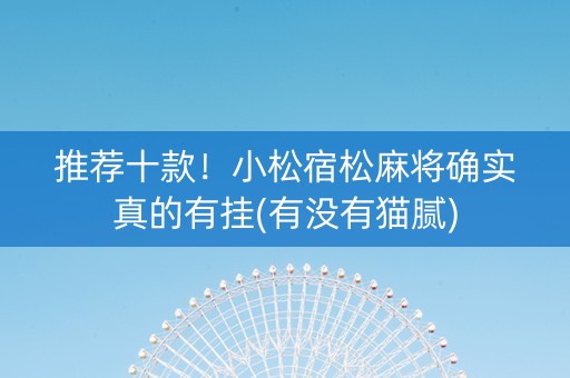 推荐十款！小松宿松麻将确实真的有挂(有没有猫腻)
