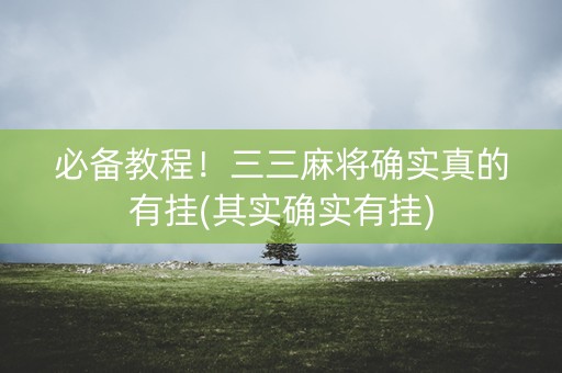 必备教程！三三麻将确实真的有挂(其实确实有挂)