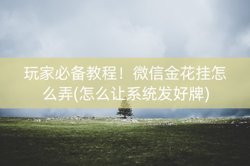 玩家必备教程！微信金花挂怎么弄(怎么让系统发好牌)