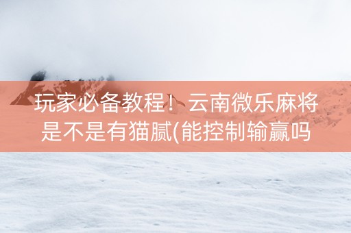玩家必备教程！云南微乐麻将是不是有猫腻(能控制输赢吗)